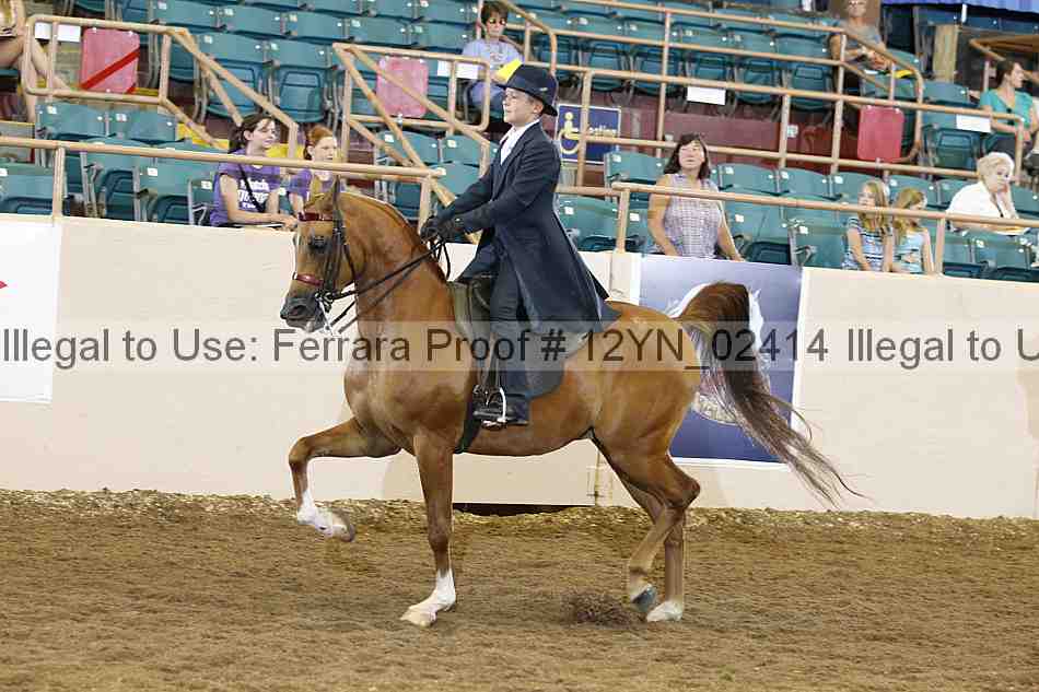 Proof 12yn_02414