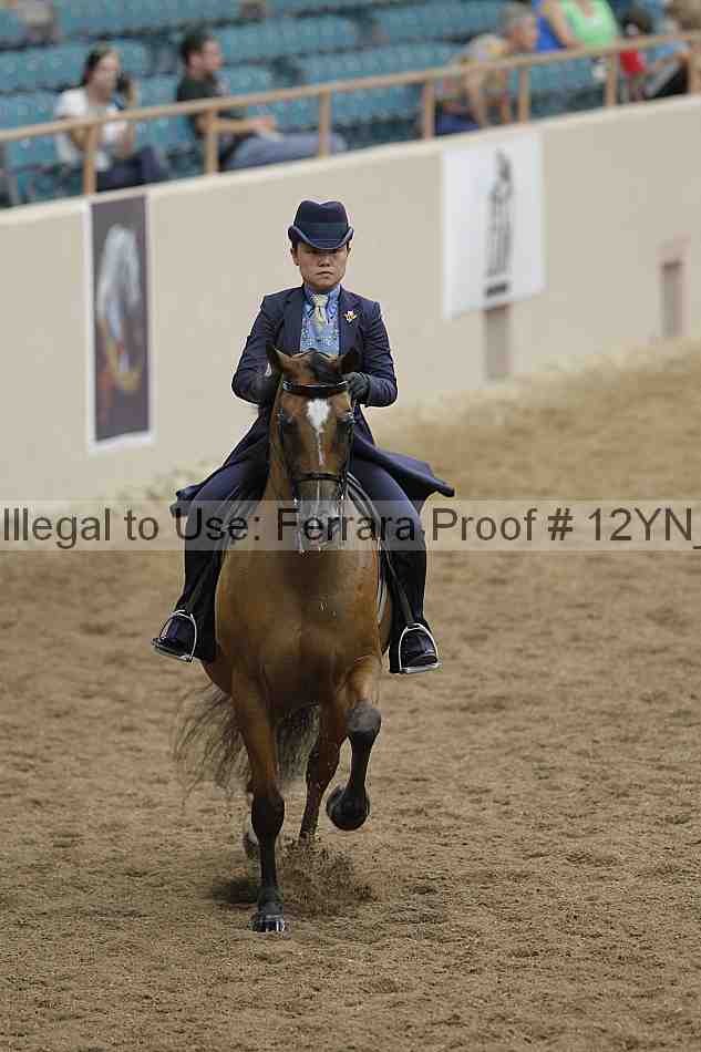 Proof 12yn_02415