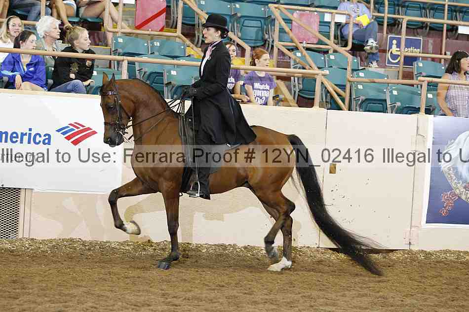 Proof 12yn_02416