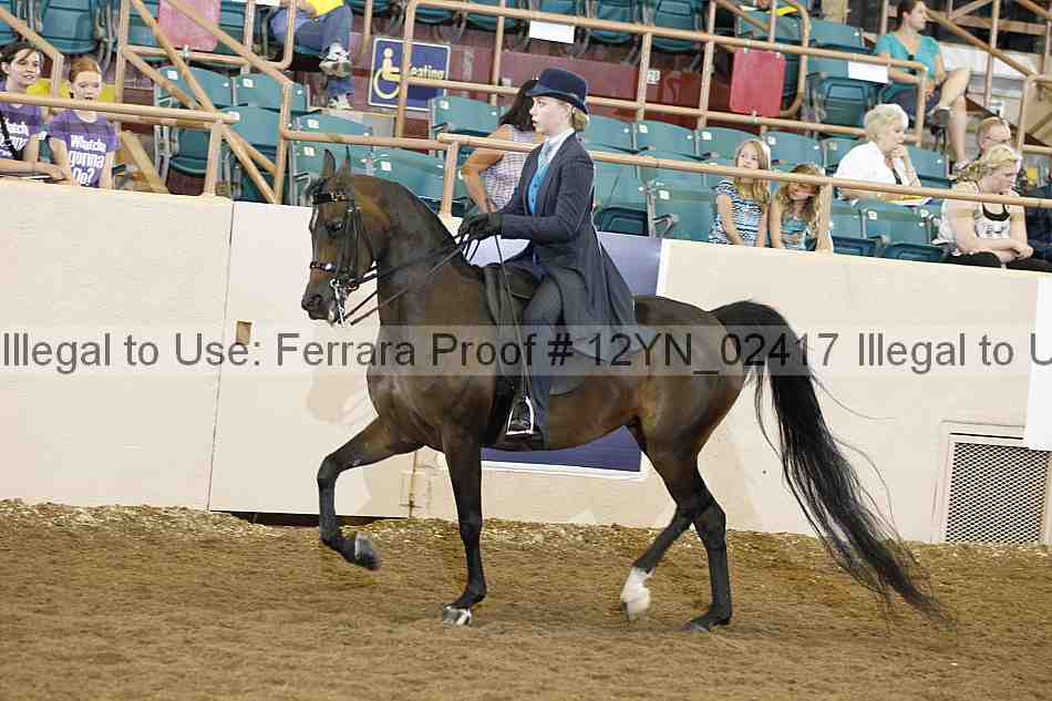 Proof 12yn_02417