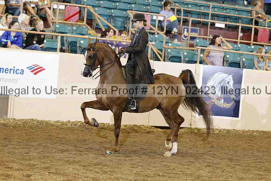 Proof 12yn_02423