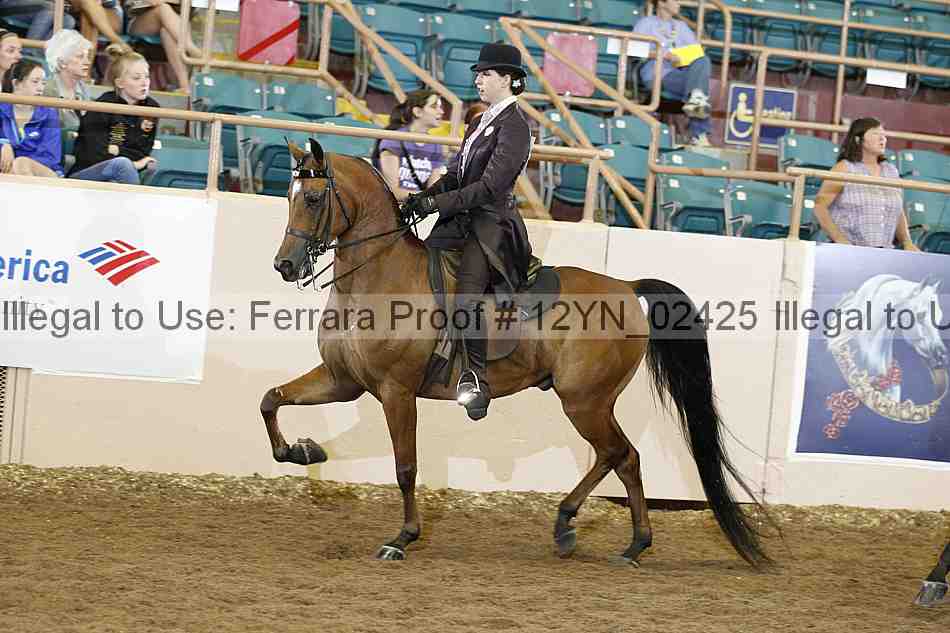 Proof 12yn_02425