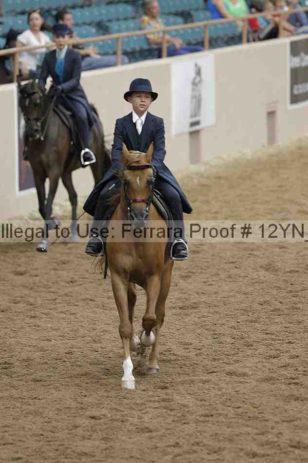 Proof 12yn_02426
