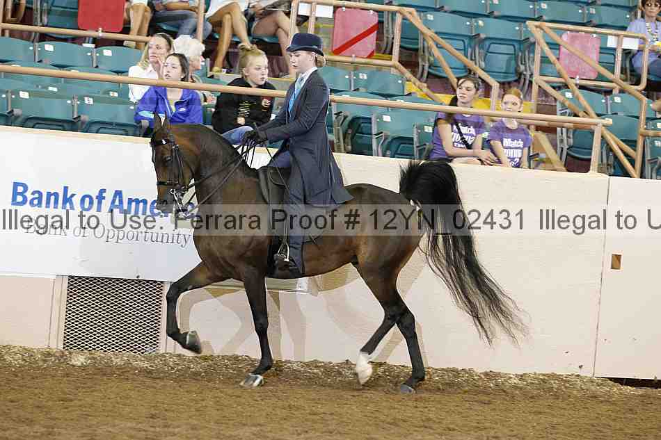 Proof 12yn_02431