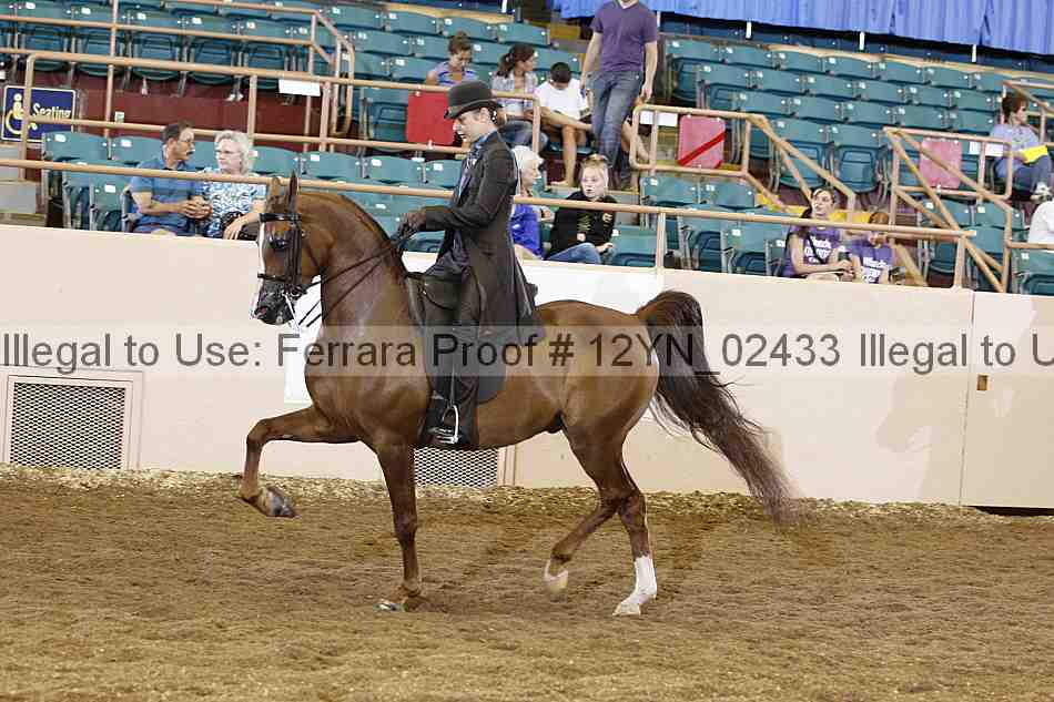 Proof 12yn_02433