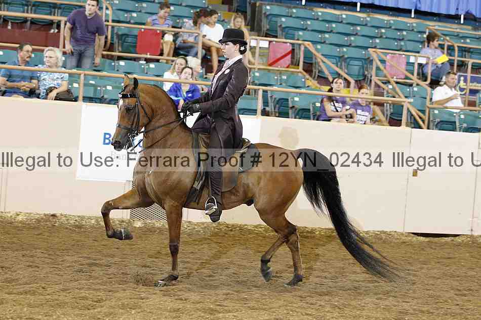 Proof 12yn_02434