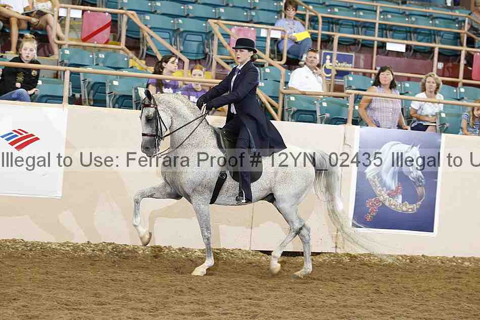 Proof 12yn_02435
