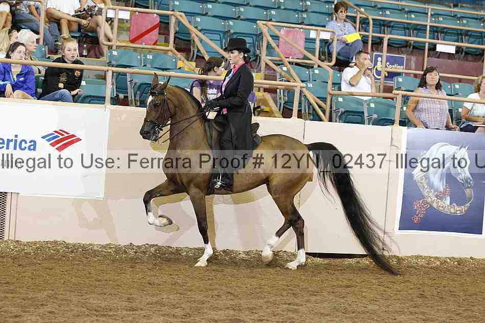 Proof 12yn_02437