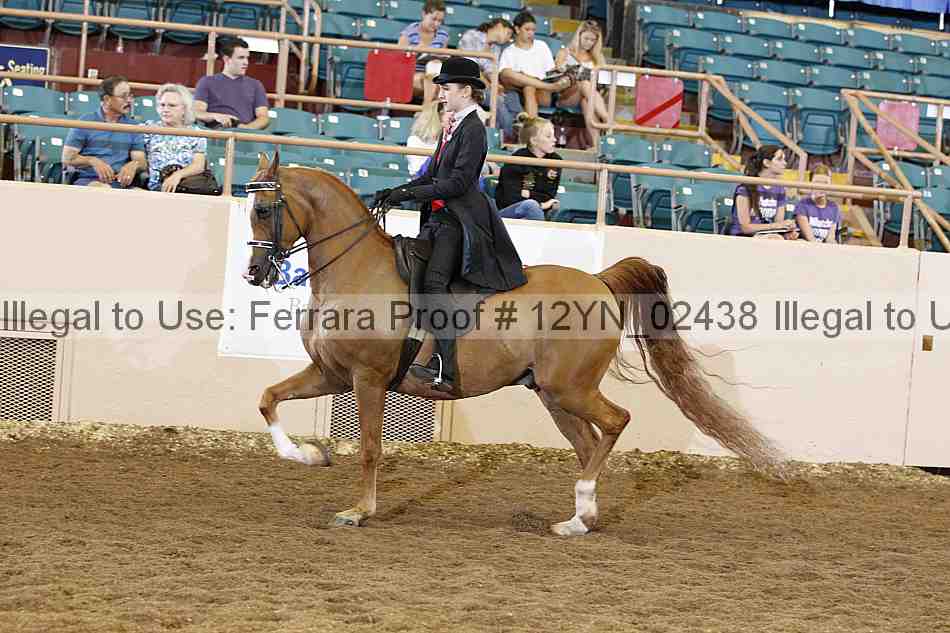 Proof 12yn_02438