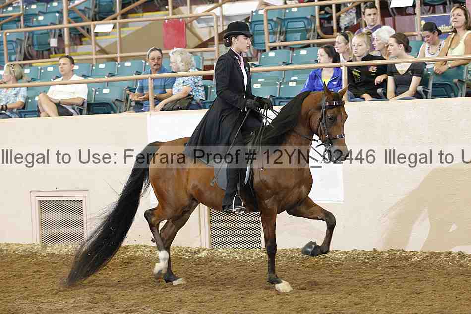 Proof 12yn_02446