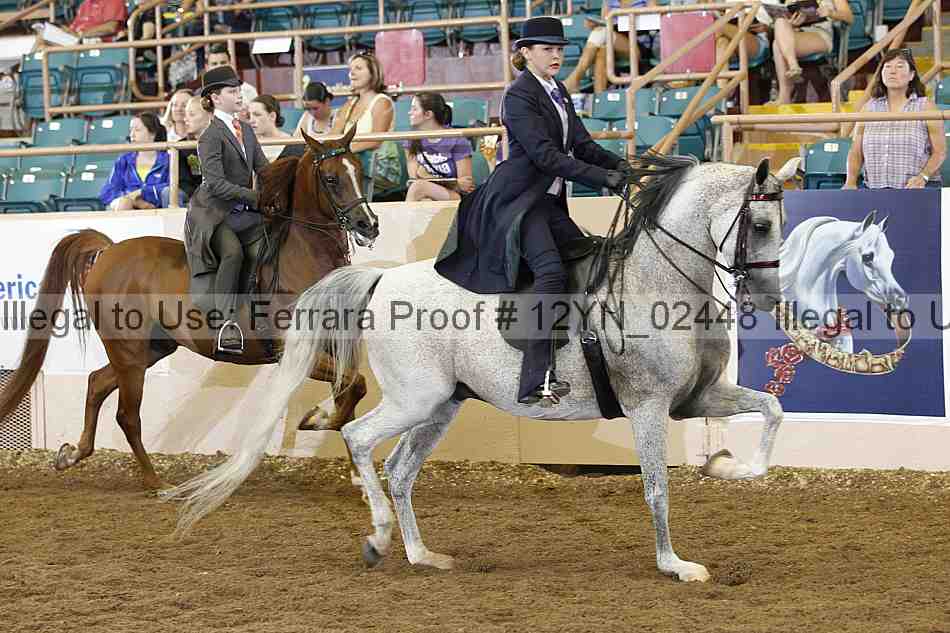 Proof 12yn_02448