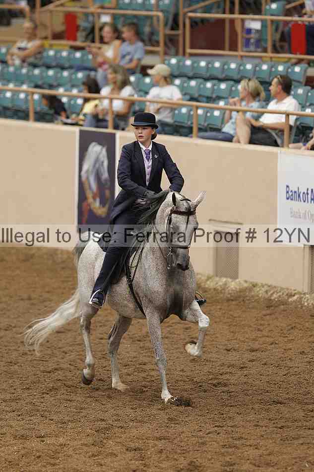 Proof 12yn_02449