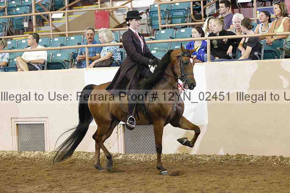 Proof 12yn_02451