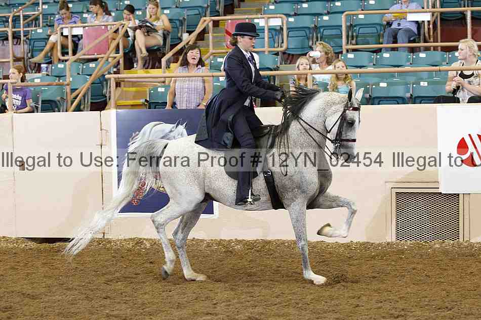 Proof 12yn_02454