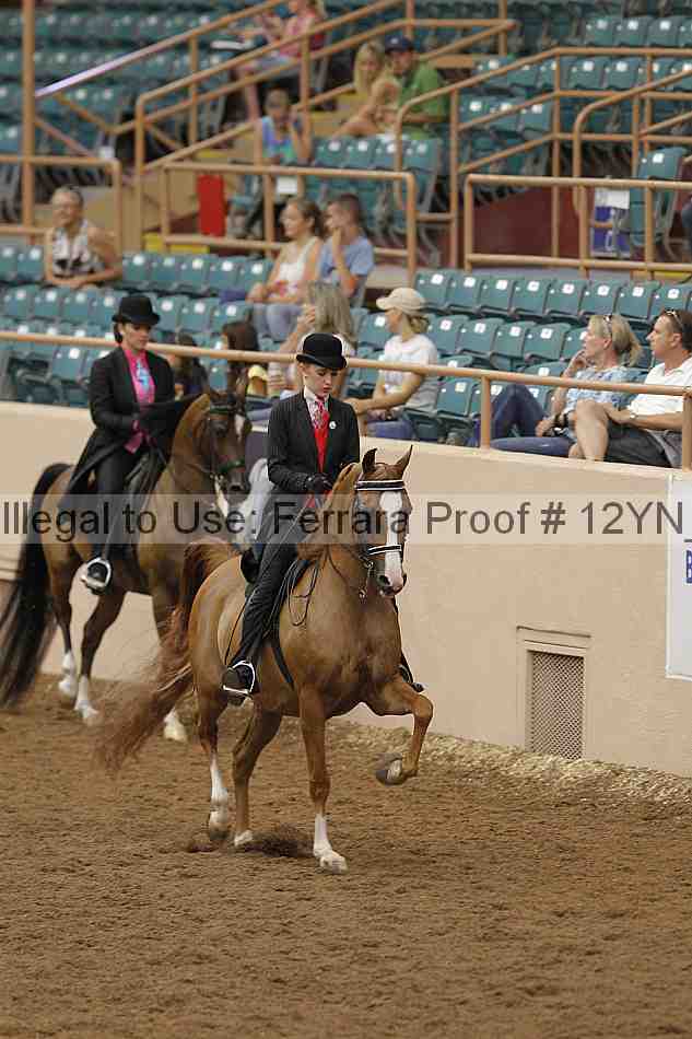 Proof 12yn_02458