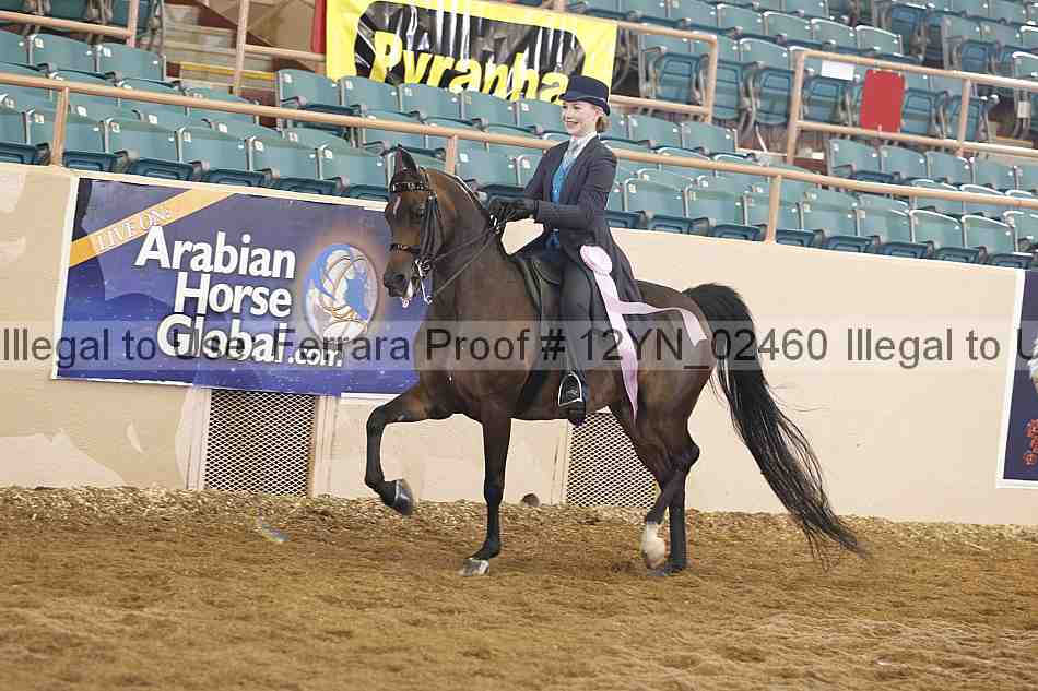 Proof 12yn_02460