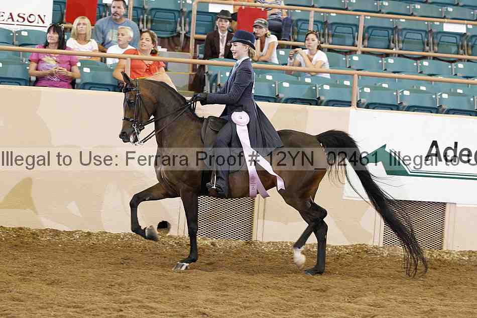 Proof 12yn_02461