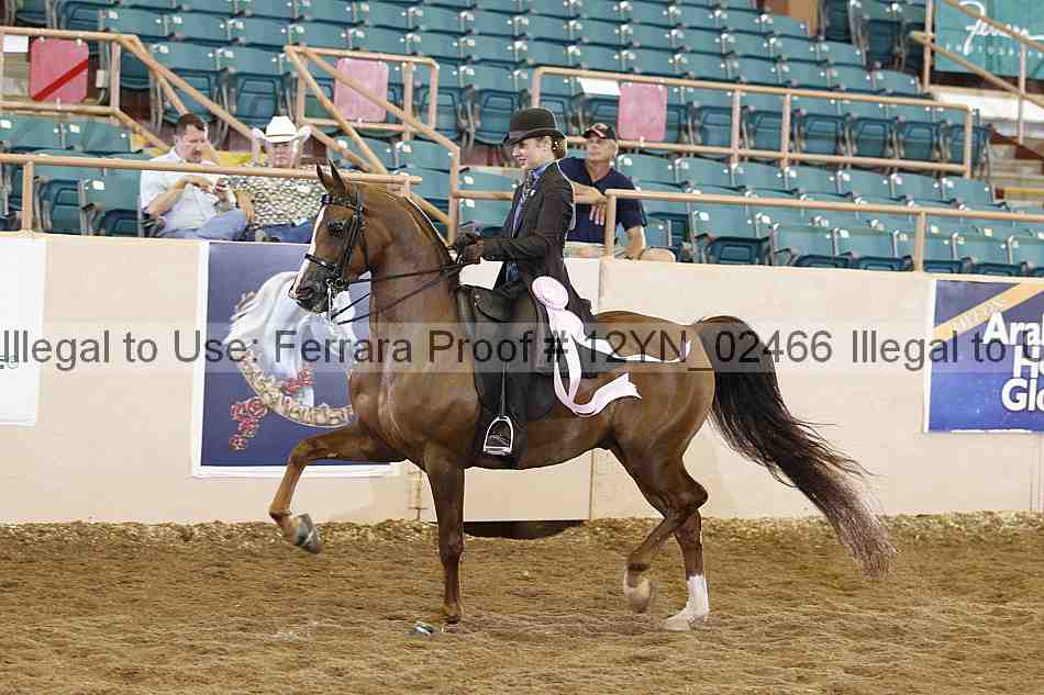 Proof 12yn_02466