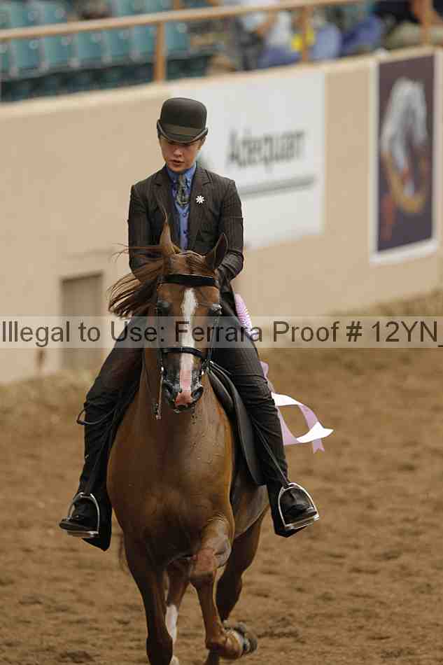 Proof 12yn_02473