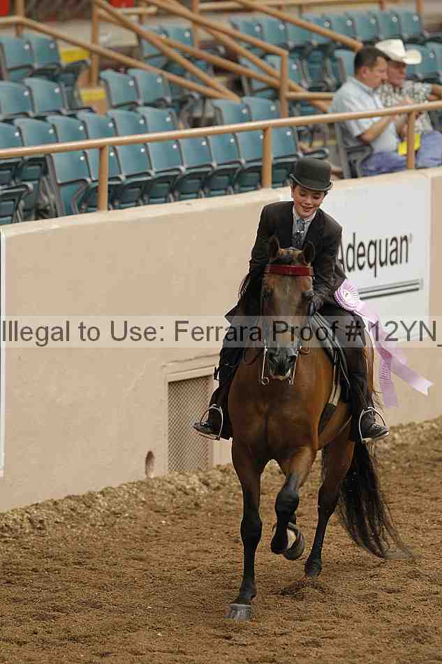 Proof 12yn_02476