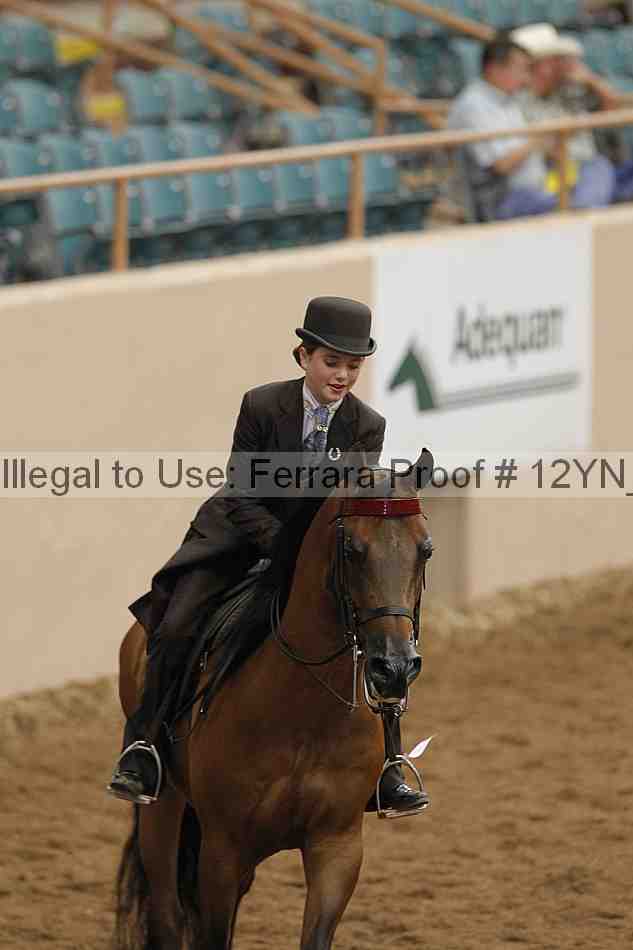 Proof 12yn_02477