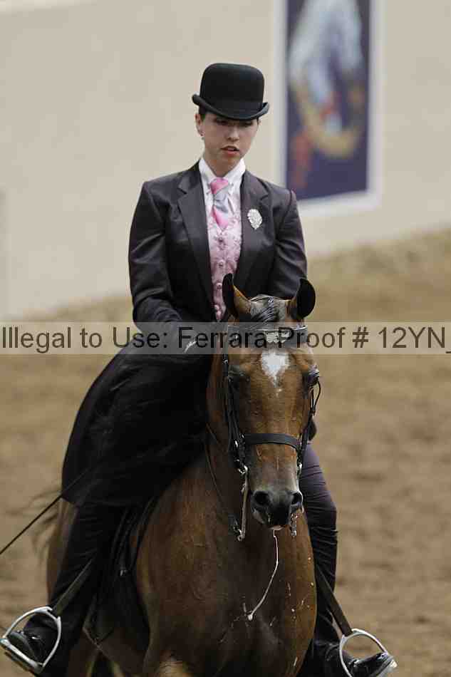 Proof 12yn_02490