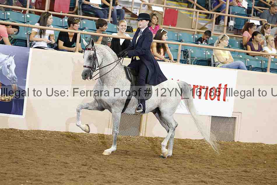 Proof 12yn_16785
