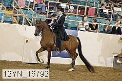 12yn_16792 proof
