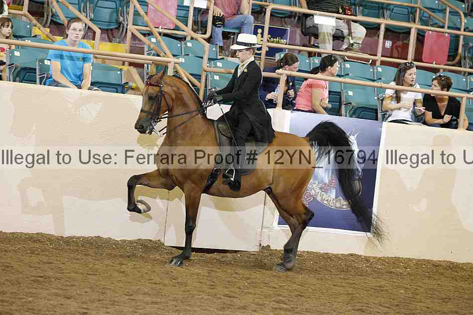 Proof 12yn_16794