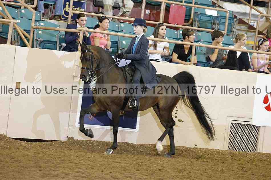 Proof 12yn_16797