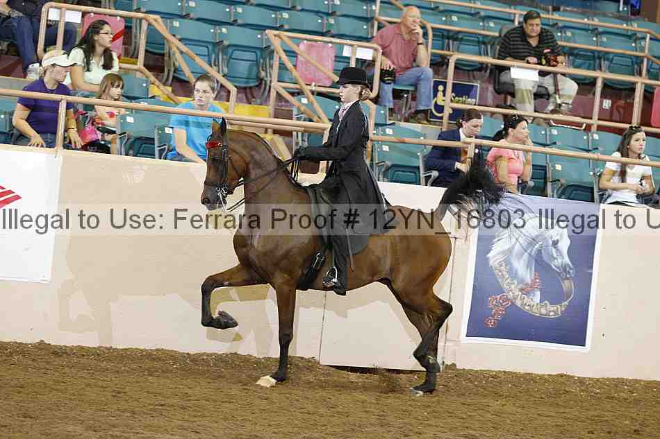 Proof 12yn_16803
