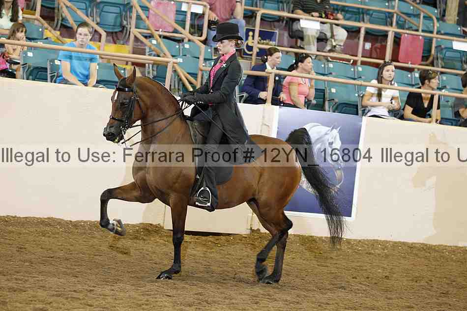 Proof 12yn_16804