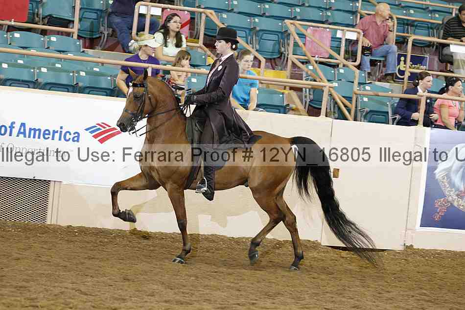 Proof 12yn_16805