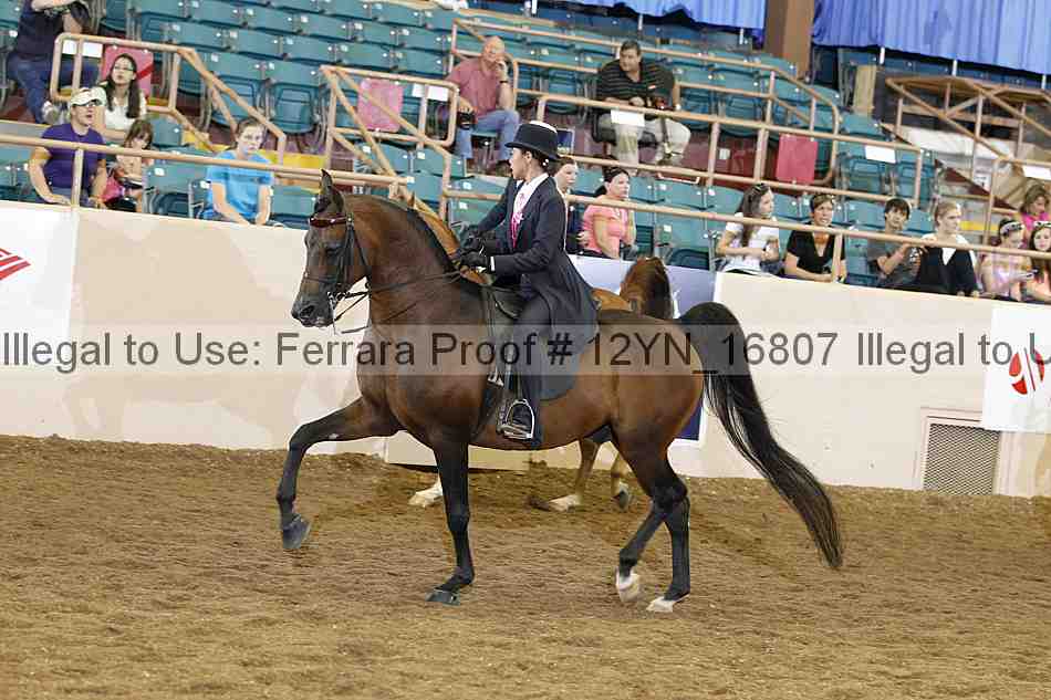 Proof 12yn_16807