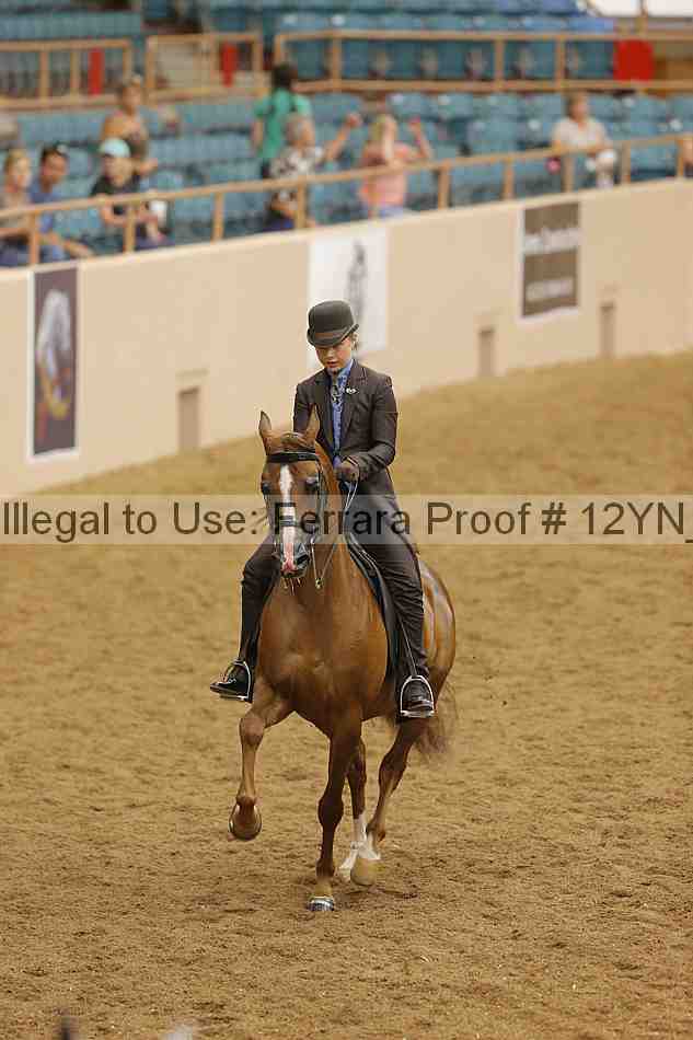 Proof 12yn_16809