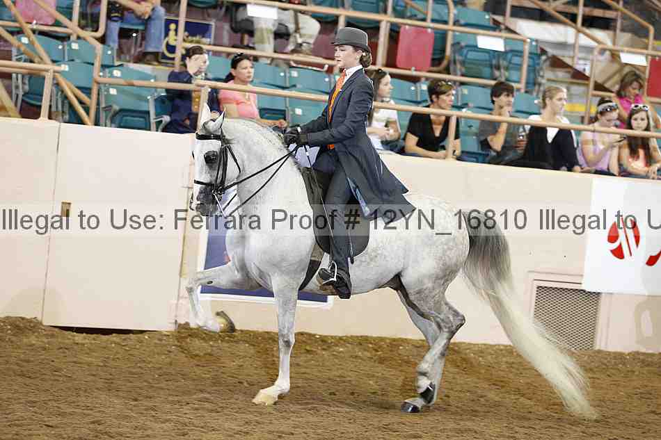 Proof 12yn_16810