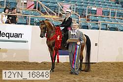 12yn_16848 proof