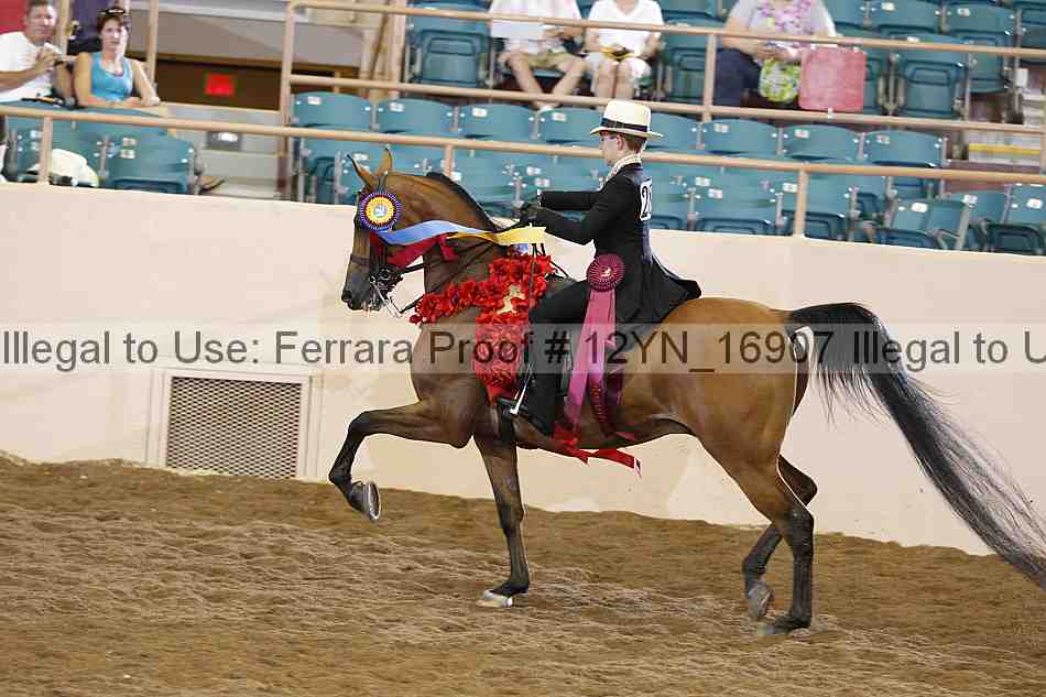 Proof 12yn_16907