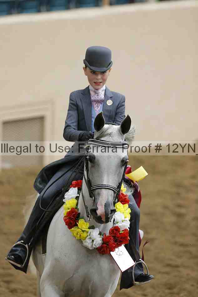 Proof 12yn_16909