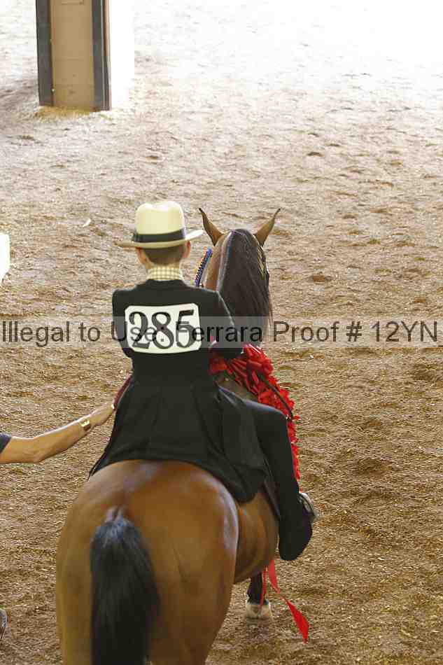 Proof 12yn_16916