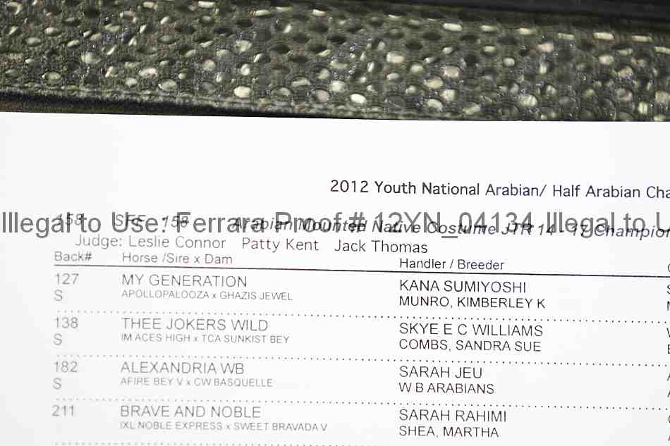 Proof 12yn_04134