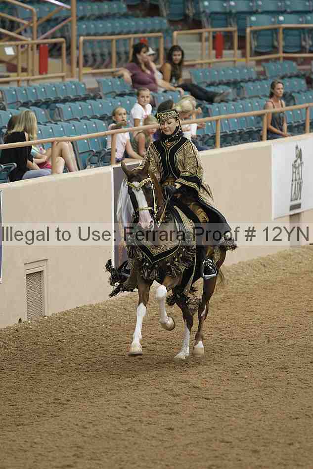 Proof 12yn_04163