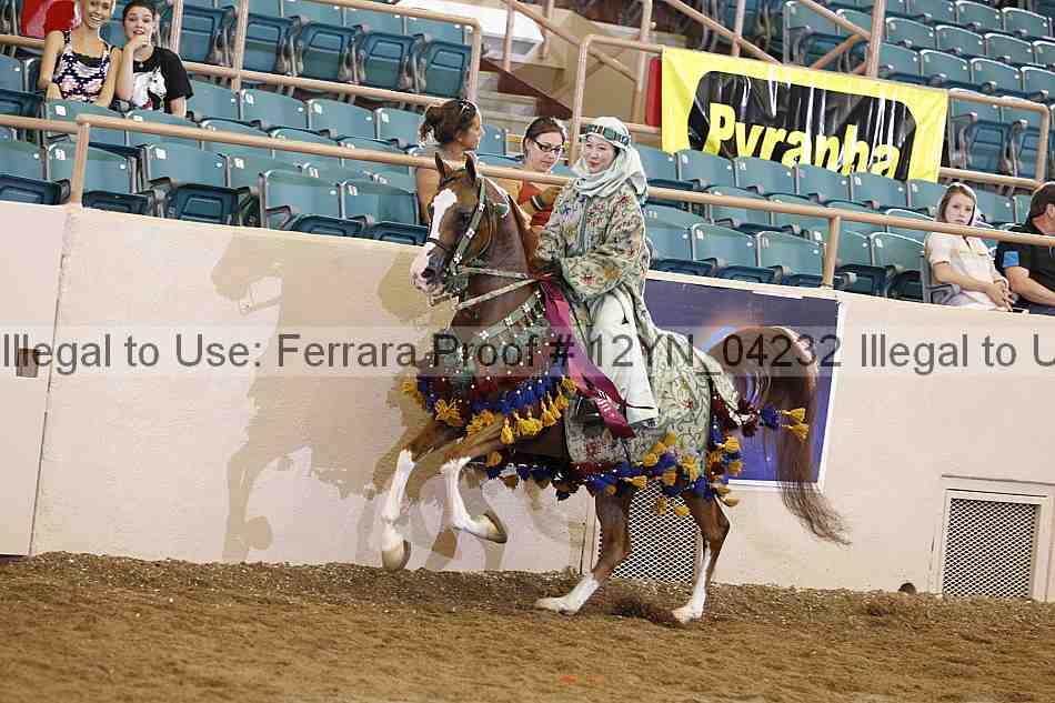 Proof 12yn_04232