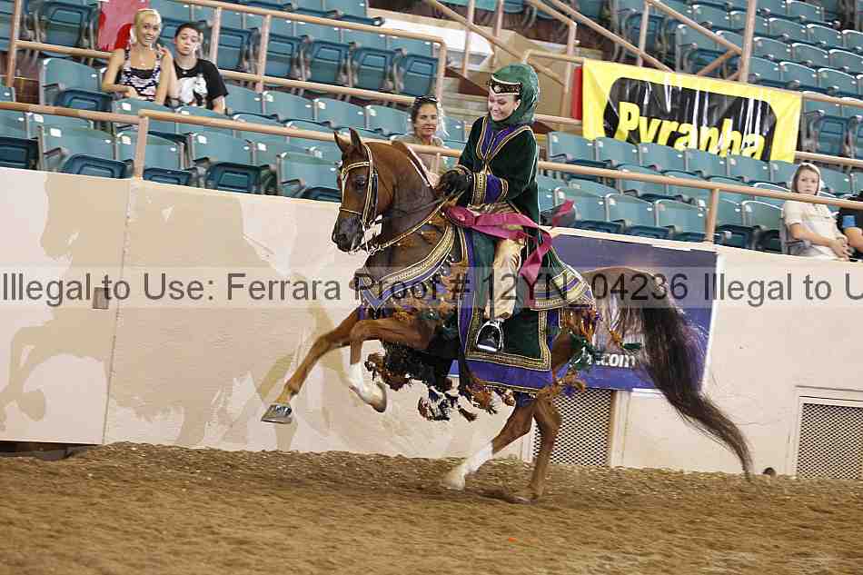 Proof 12yn_04236