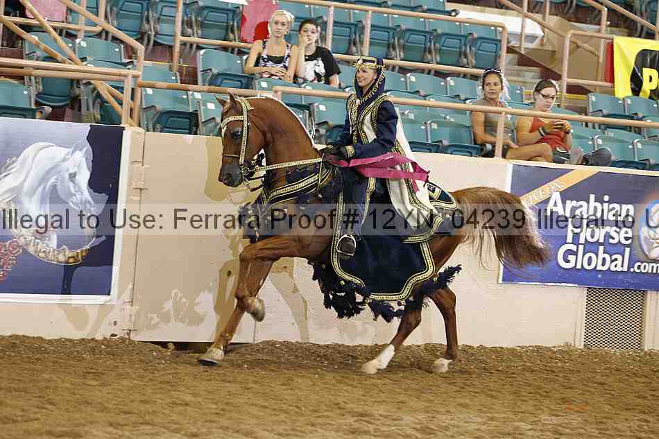 Proof 12yn_04239