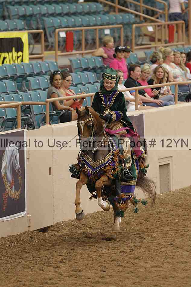 Proof 12yn_04246