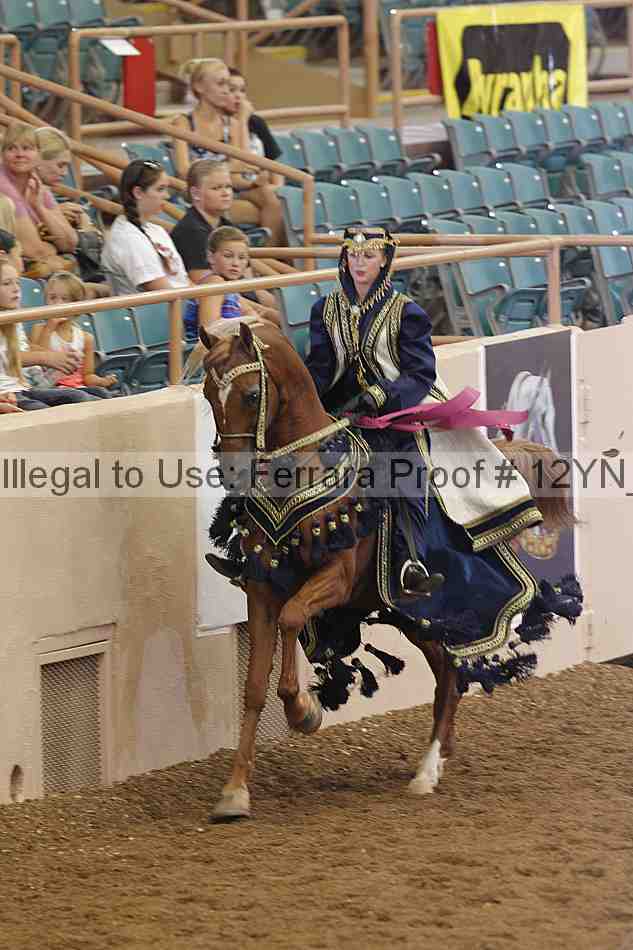 Proof 12yn_04247