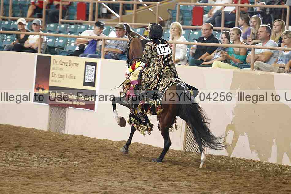 Proof 12yn_04256