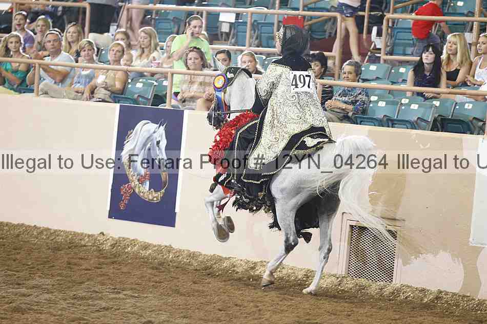 Proof 12yn_04264