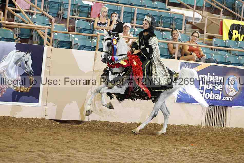 Proof 12yn_04269